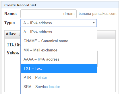 Choose TXT for the DNS Record Type 